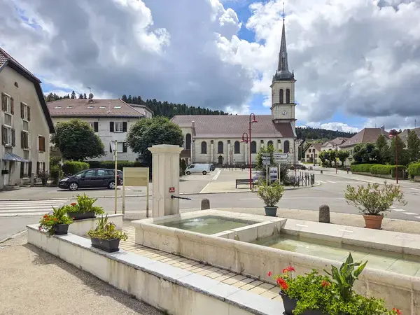 Monte Escalier 25 Installateur Monte Escalier Damprichard